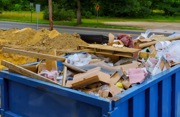 Yard Cleanup Services in Orange City, IA